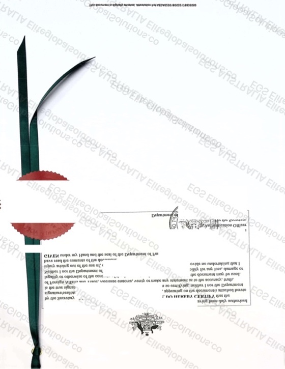 Academic Document - Consulate