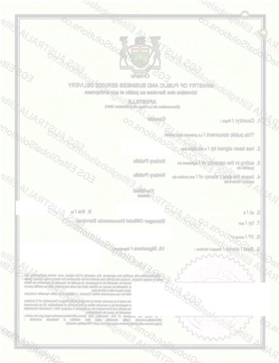 Canada-issued Apostille Certificate for Overseas Use - Sample 3 redacted document sample preview