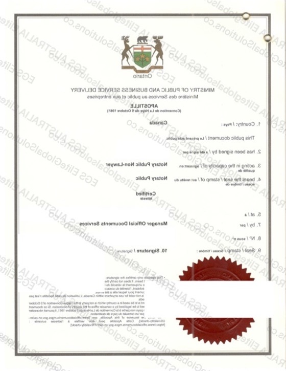 Canadian Birth Certificate for Use in France redacted document sample preview