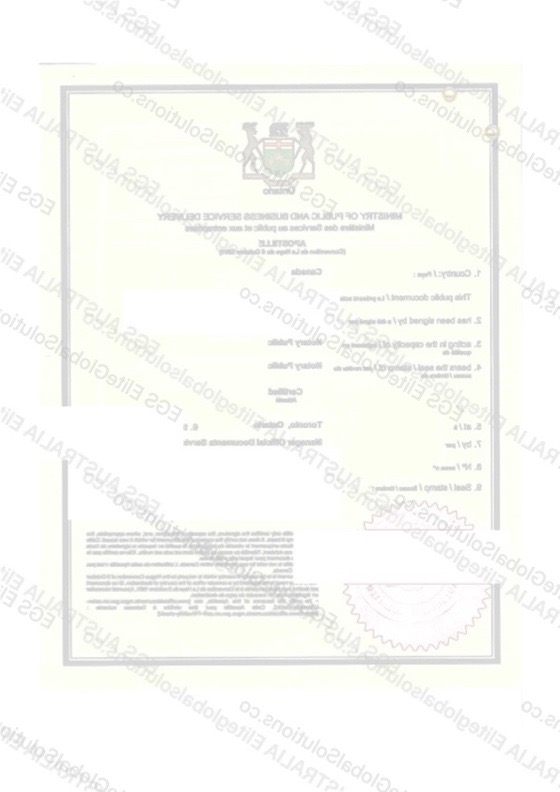 Canadian Company Documents for Use in Hong Kong redacted document sample preview