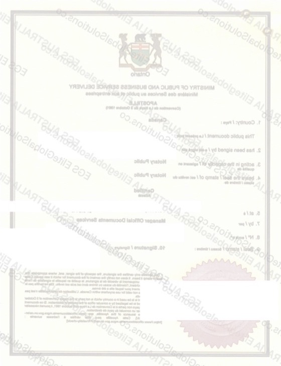 Canada-issued Declaration for Use in the Netherlands redacted document sample preview