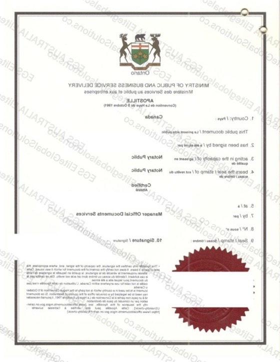 Canada-issued Declaration for Use in Germany redacted document sample preview