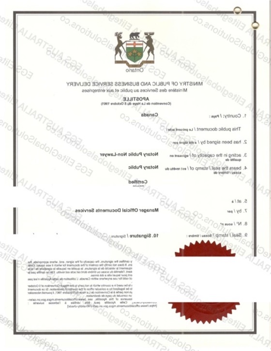 Canada-issued Declaration for Use in Singapore