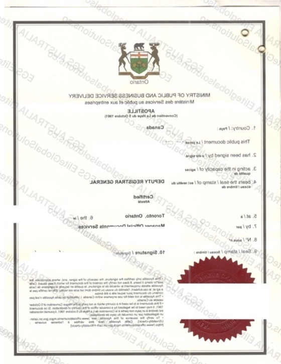 Canadian Marriage Certificate for Consular Use redacted document sample preview