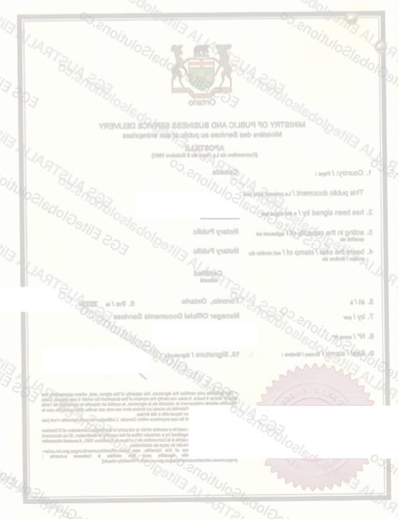 Canadian Passport for Overseas Use redacted document sample preview