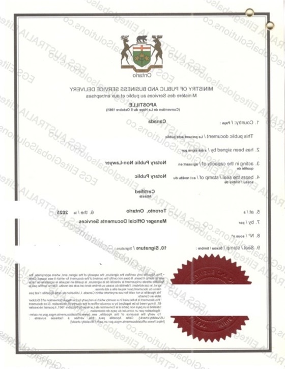 Canadian Power of Attorney for Use in Germany redacted document sample preview
