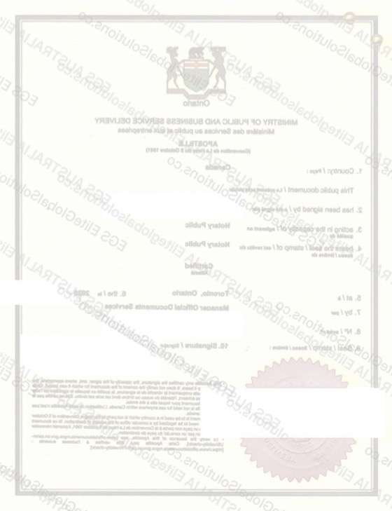 Canadian Power of Attorney for Use in Hong Kong redacted document sample preview