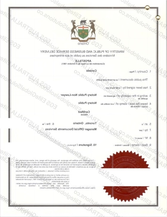 Canadian Power of Attorney for Use in Singapore redacted document sample preview