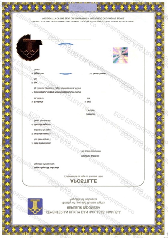 Company Document