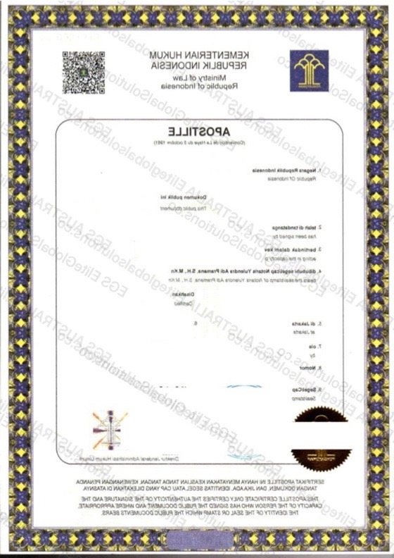 Indonesia-issued Visa Document for Overseas Use redacted document sample preview