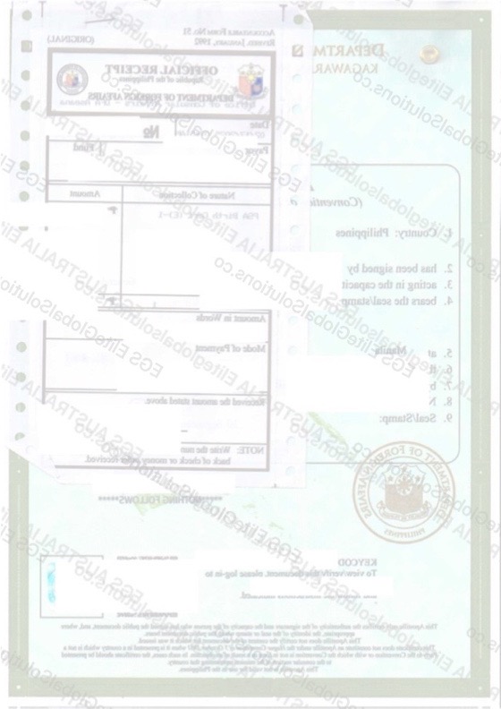 Philippines-issued Birth Certificate for Overseas Use redacted document sample preview
