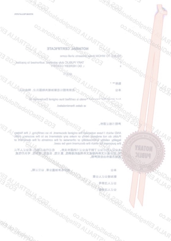 Singapore-issued Declaration for Use in the United Kingdom redacted document sample preview