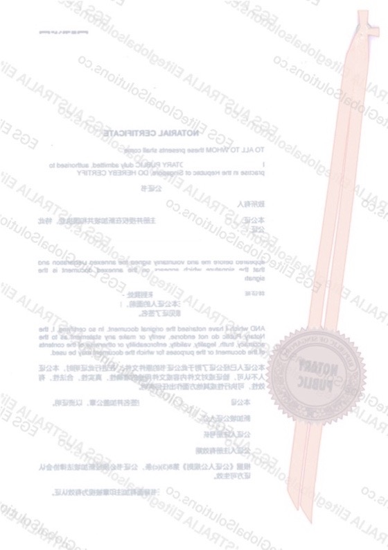 Singapore-issued Power of Attorney for Consular Use redacted document sample preview