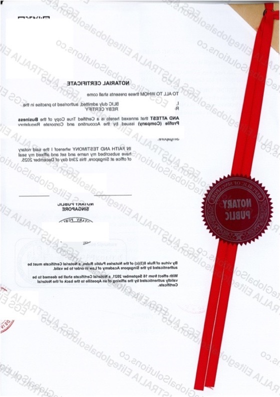 Singapore-issued Company Documents for Consular Use
