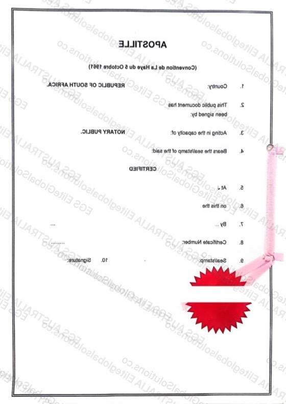 South Africa-issued Power of Attorney for Overseas Use redacted document sample preview