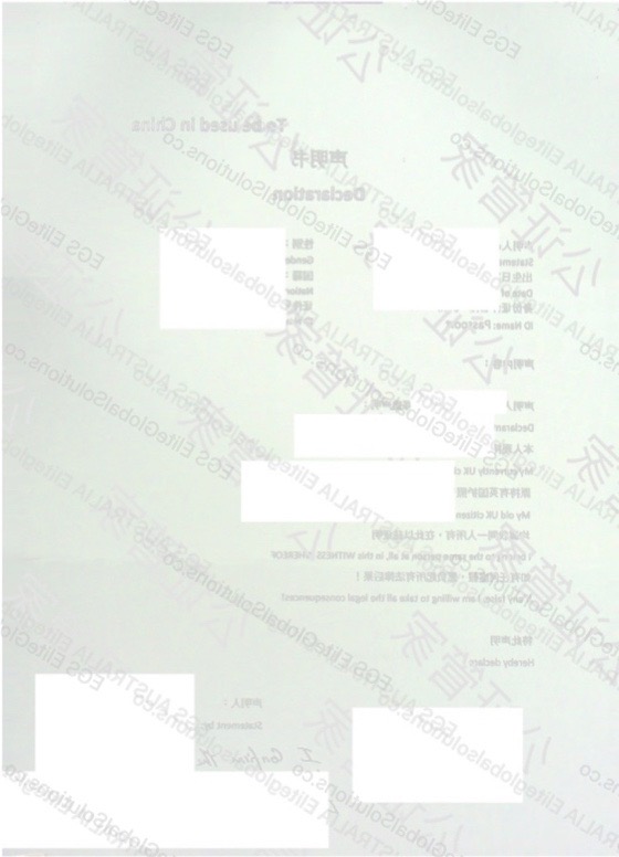 UK-issued Declaration for Use in Germany redacted document sample preview