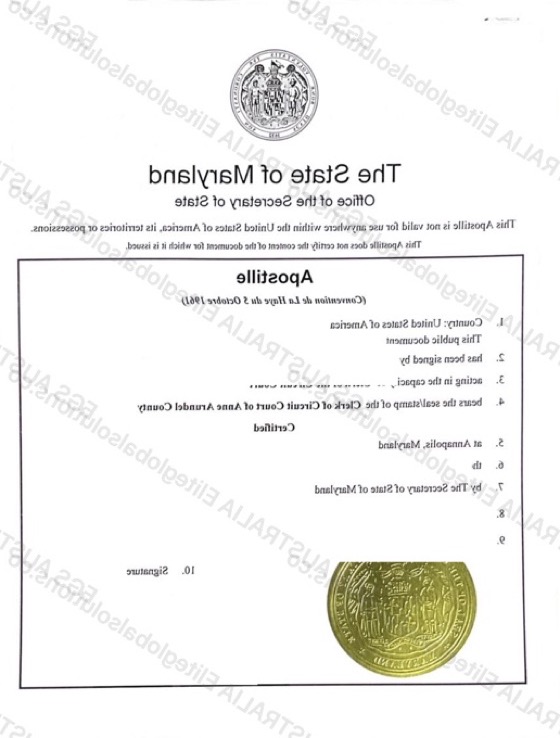 US Affidavit for Overseas Use redacted document sample preview